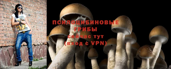 стафф Абинск