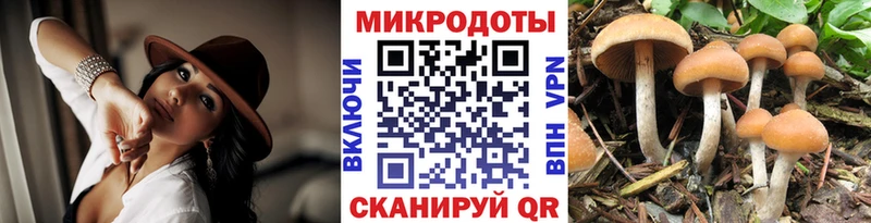 Псилоцибиновые грибы прущие грибы  Ртищево 