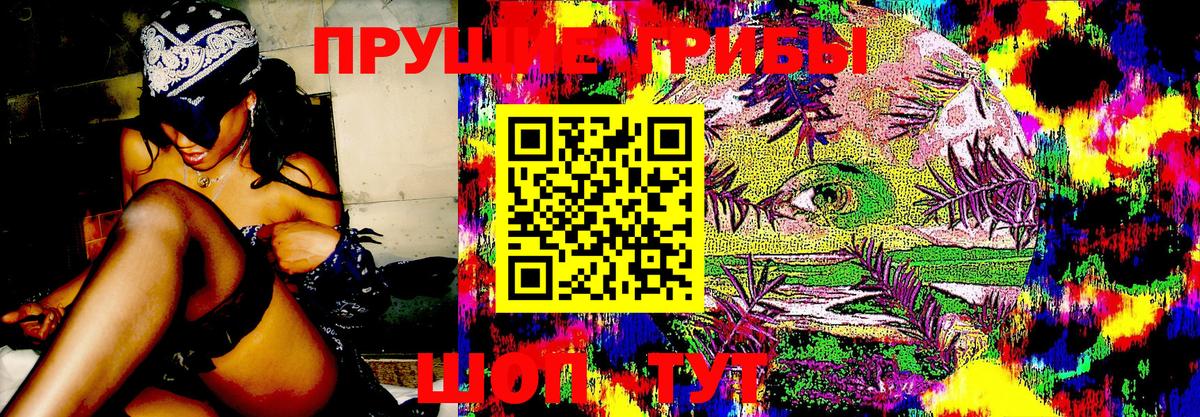 Галлюциногенные грибы Psilocybine cubensis  Вход с VPN  купить закладку  Ртищево 
